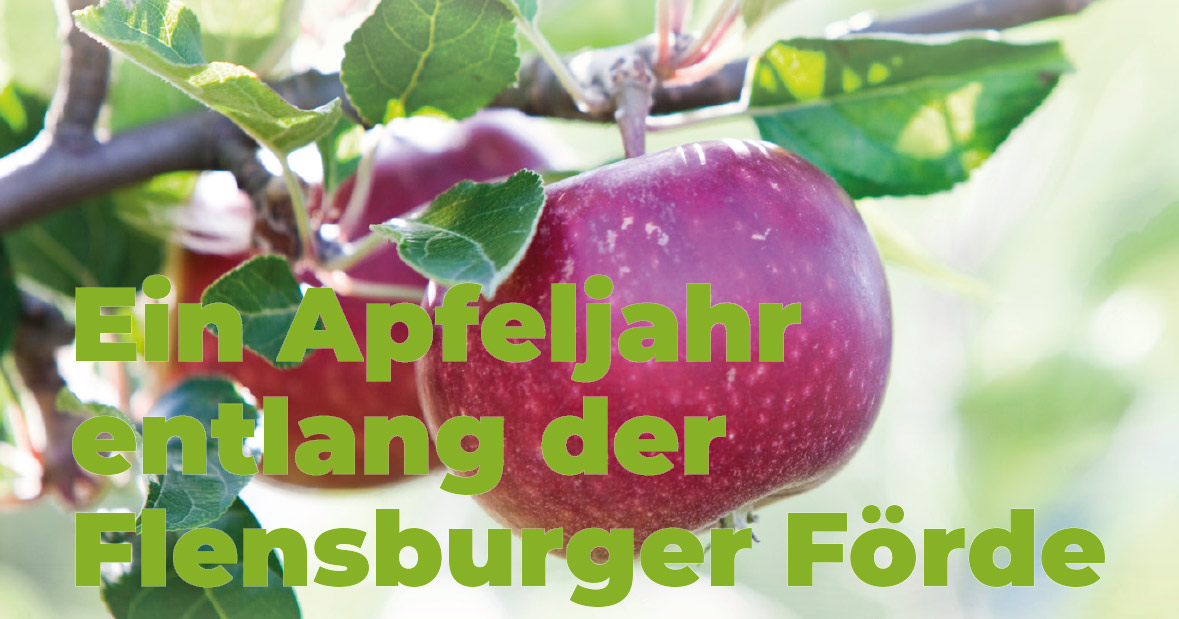 Apfelfest zum Mitmachen – gemeinsam kochen, backen & genießen!